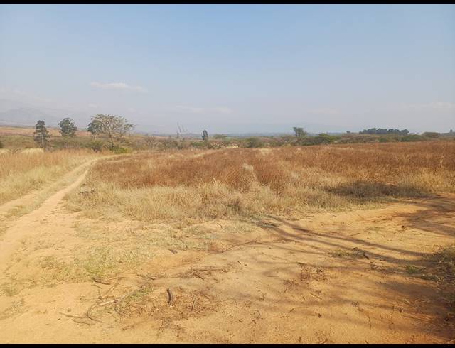 20HA FARM FOR SALE IN NELSPRUIT RURAL